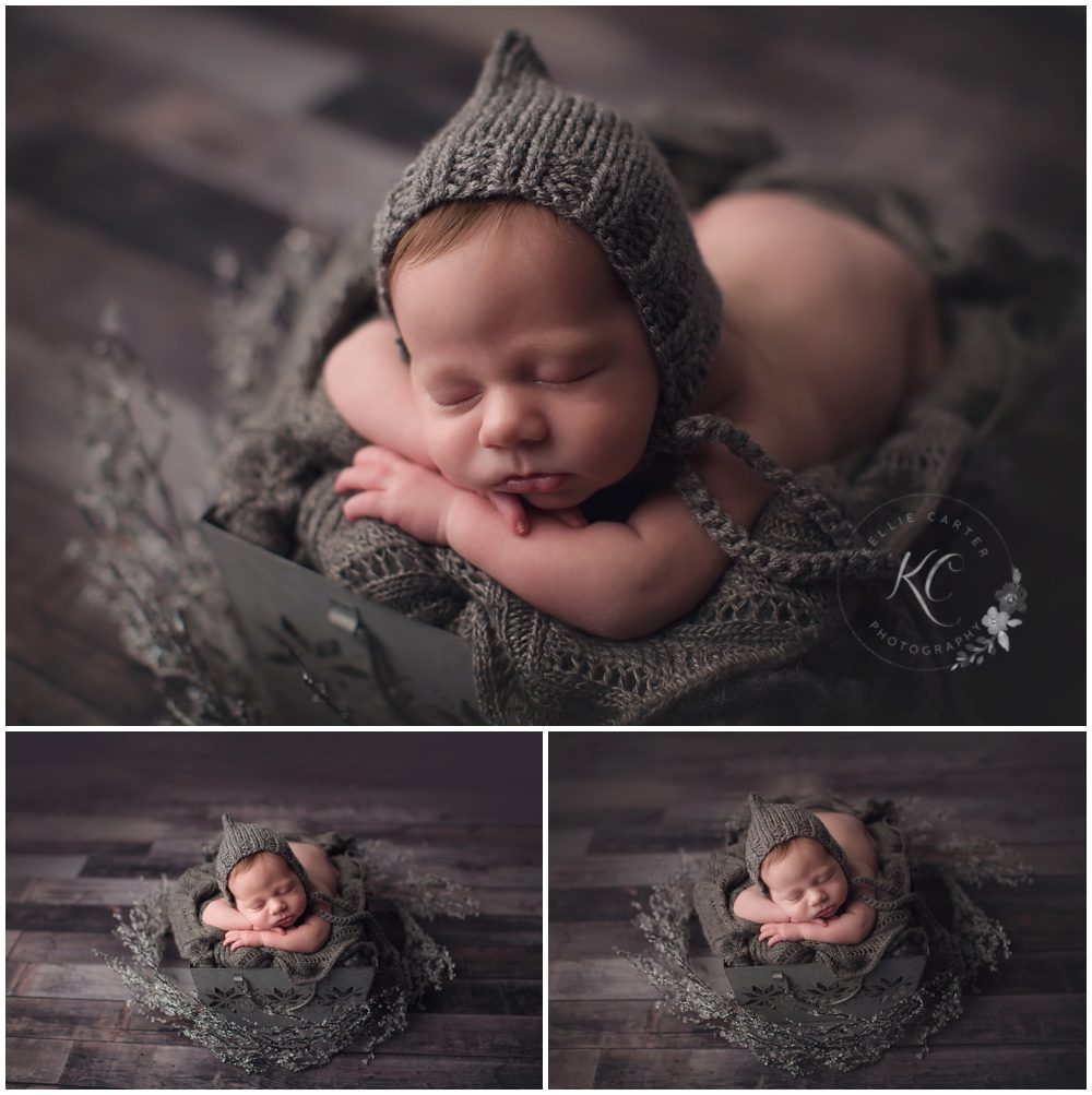 Kellie Carter Kentucky Newborn Photographer