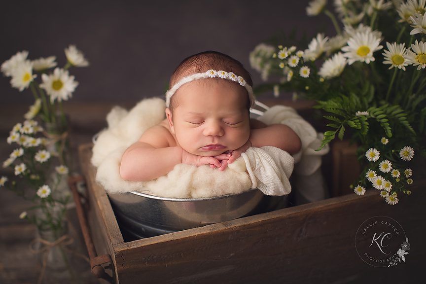 KellieCarKentucky Newborn Portrait Photography by Kellie Carter